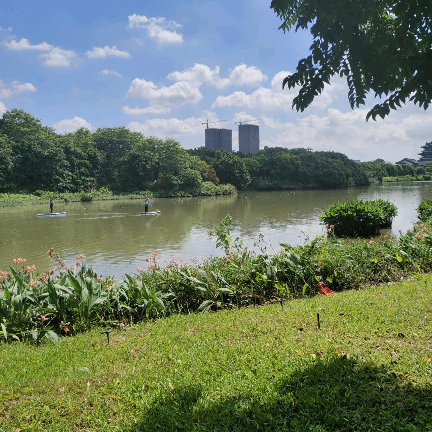 🍑万事如意🍓