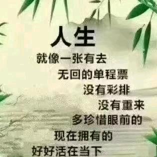 难忘的一天