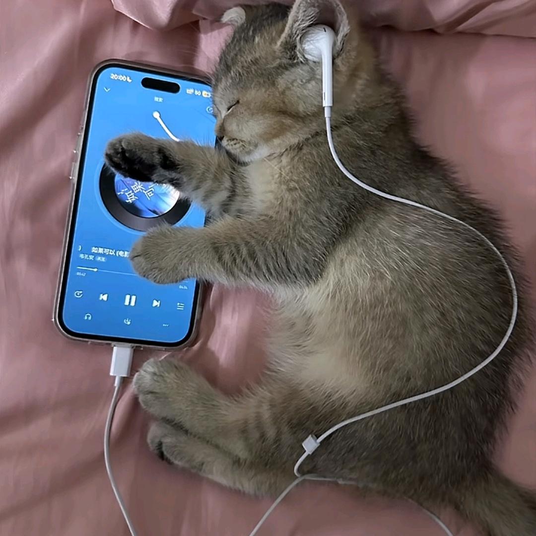 是个人