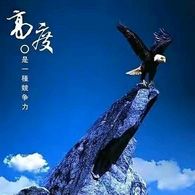 机会不会留给死人