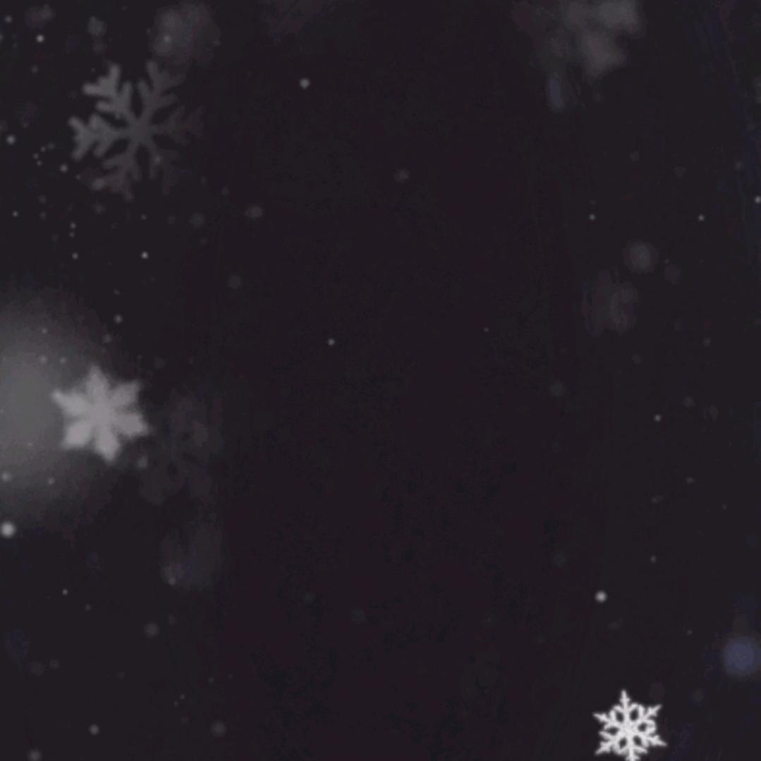 渡落雪的夜