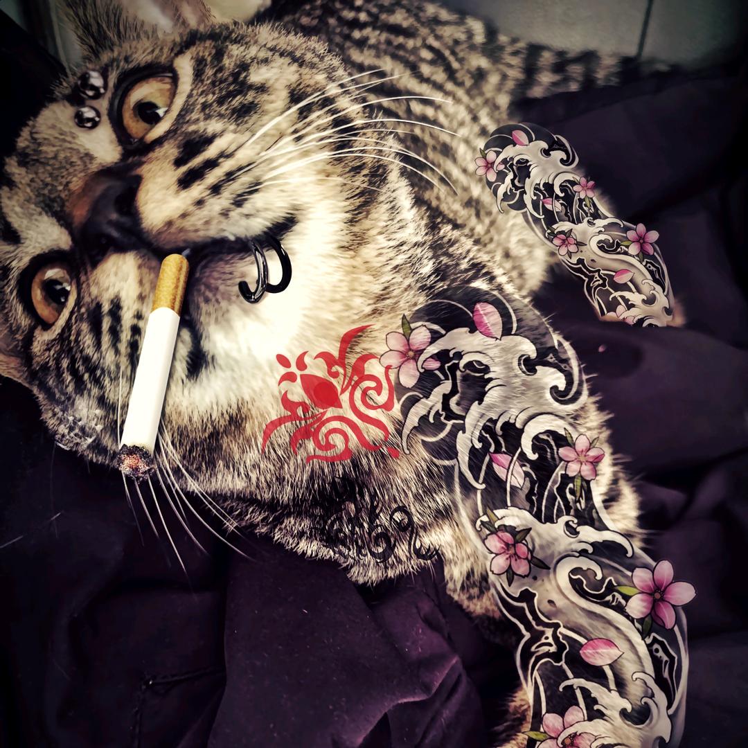 毋庸置疑
