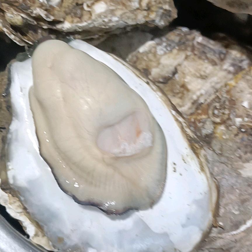 孤独一生😷