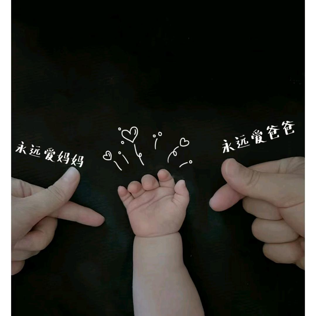 像风一样自由