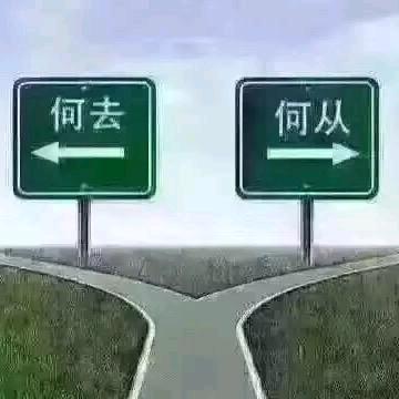 沙漠骆驼