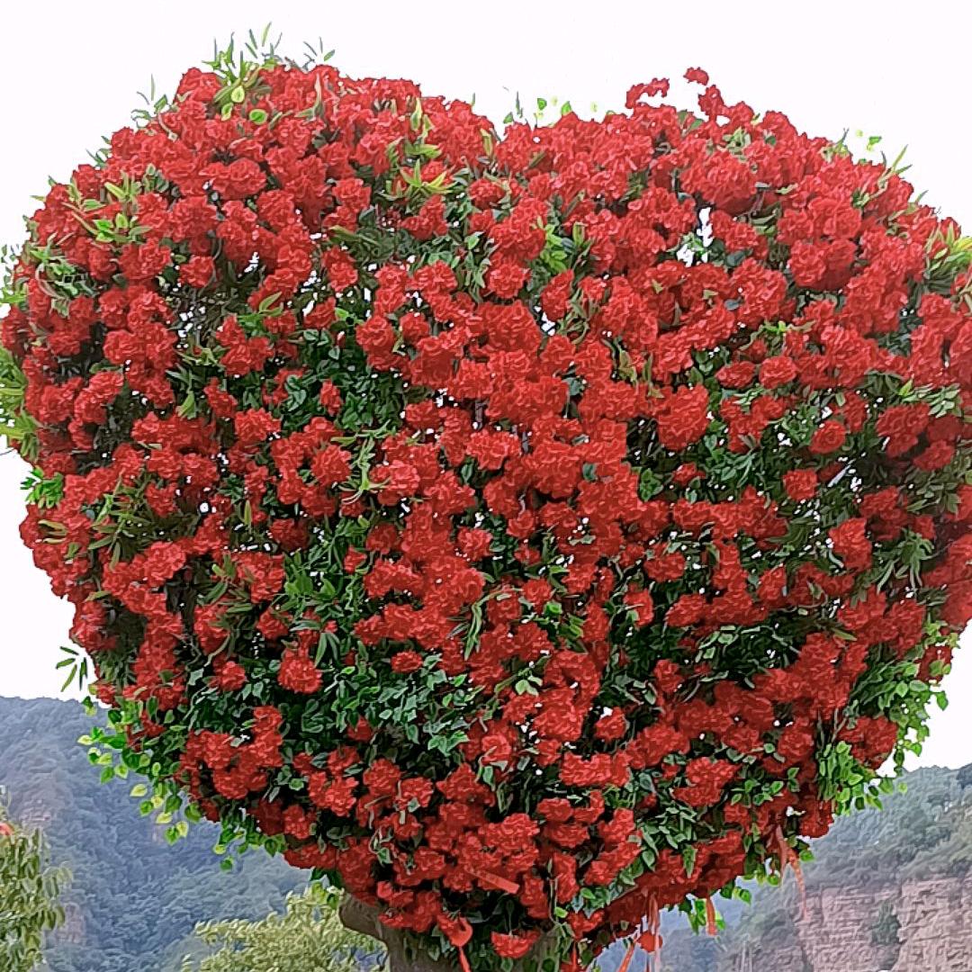 💞🕊ꦿꦼ张心დ有英࿐