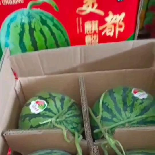 宁波西瓜批发-阿成
