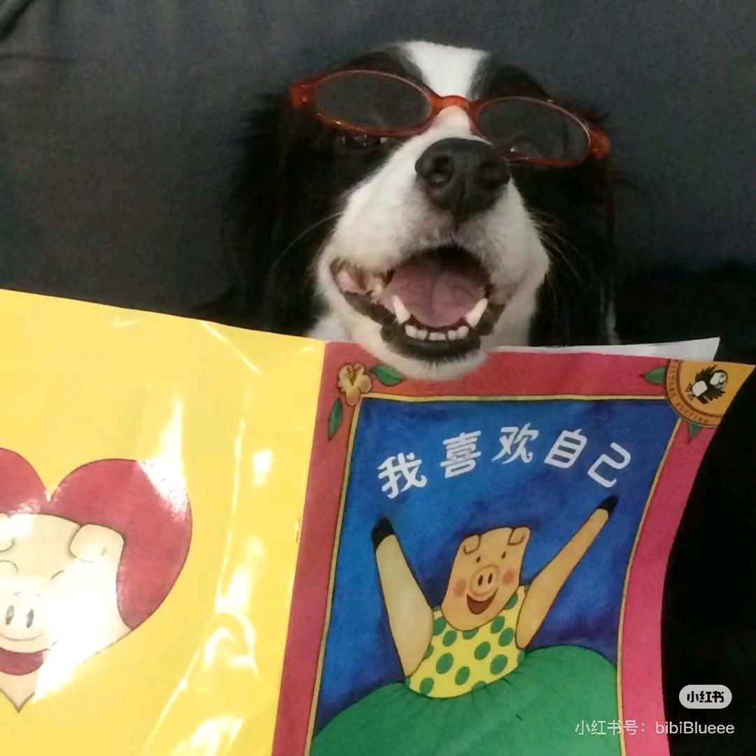 城北徐公不及我美🌈