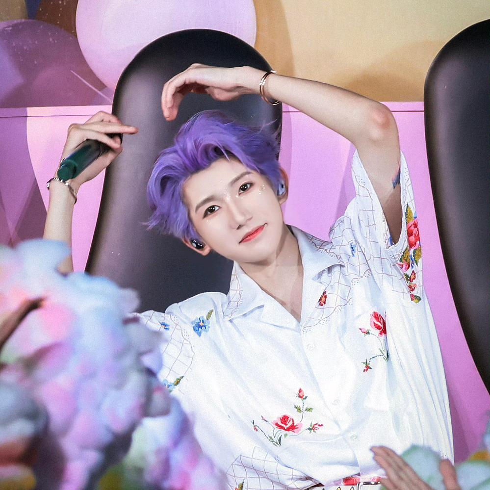 Roy（鸟巢全勤）