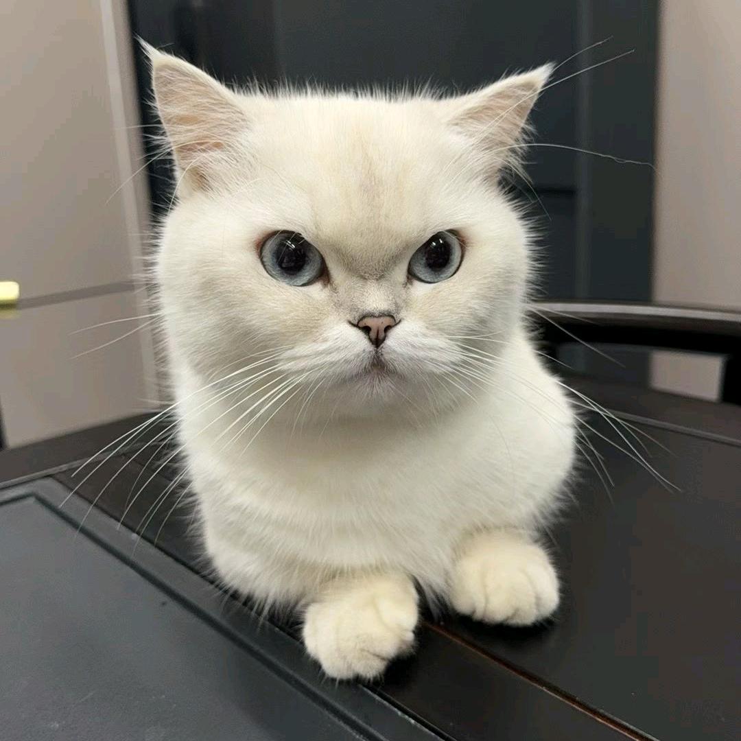 顺其自然