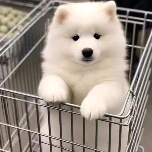 海边听ᵏᵃʳʳʸ