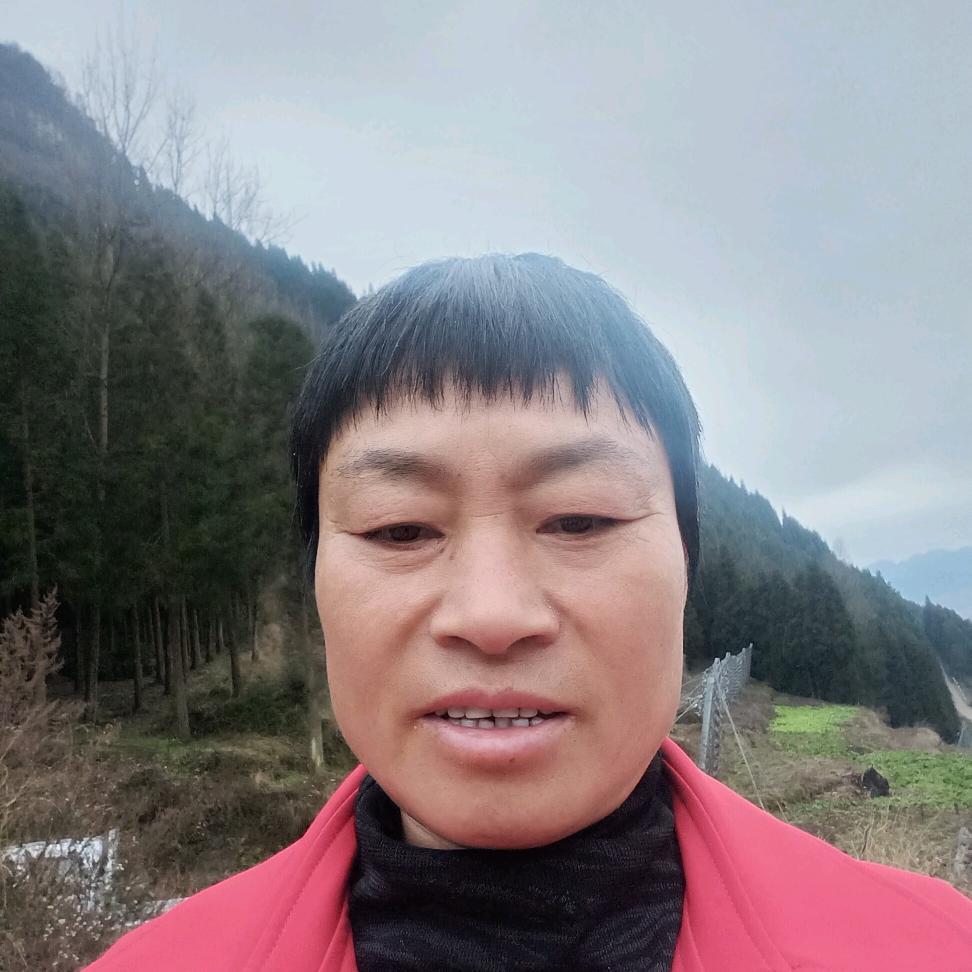 左英