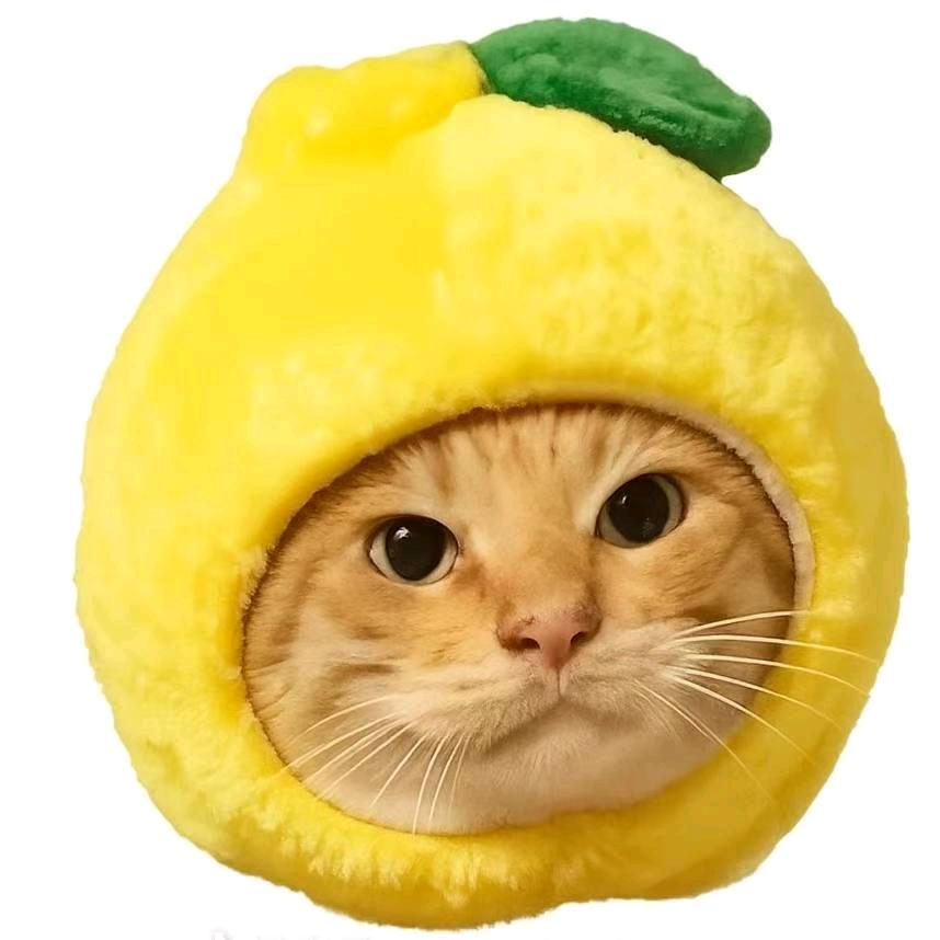 zhgrace