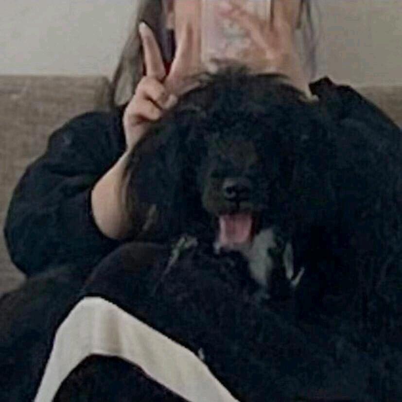 晴天·