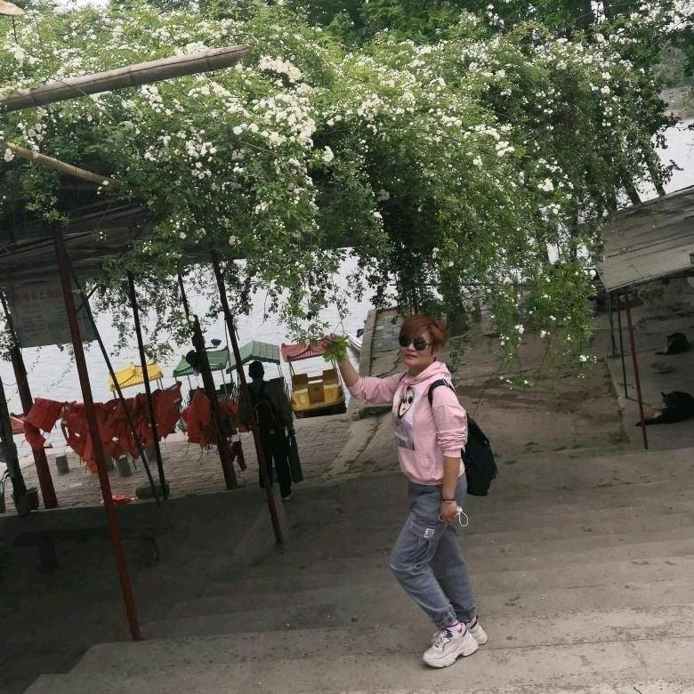 落雪听梅