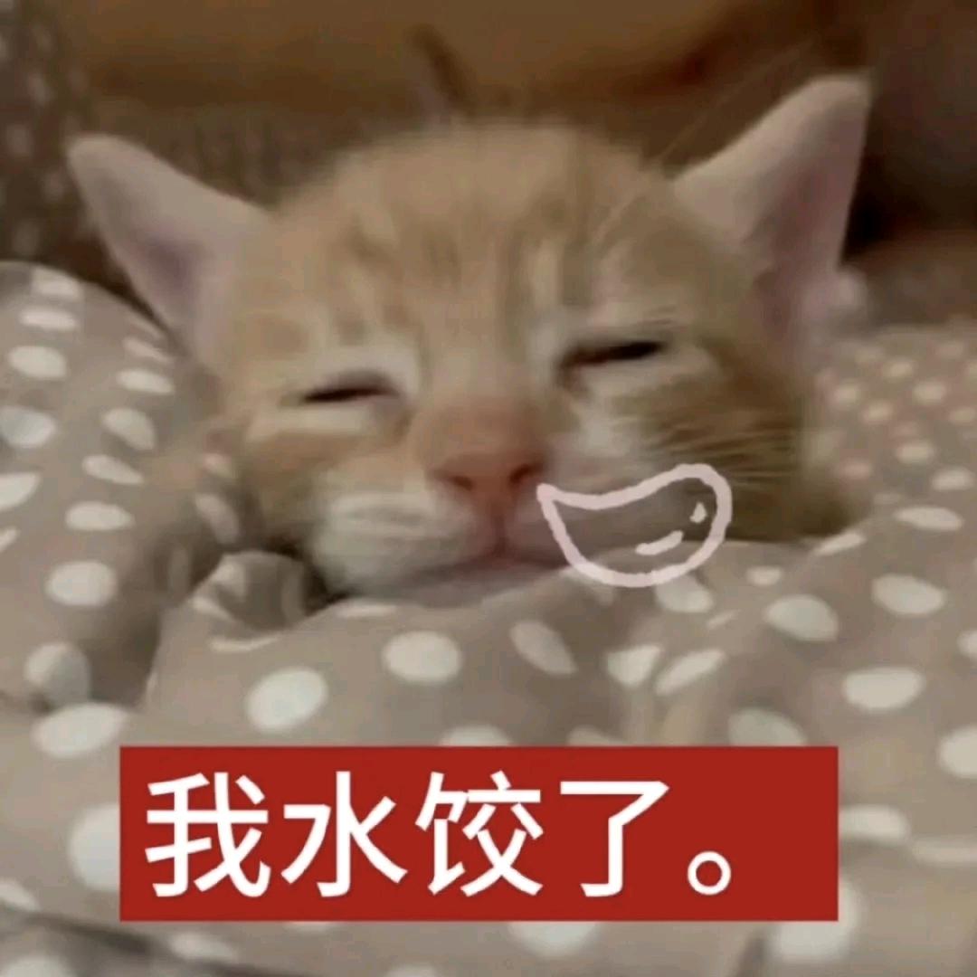 思念像风
