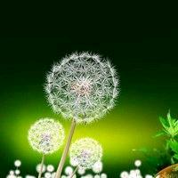 一叶漂流的小舟