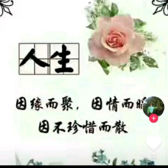 守望人生