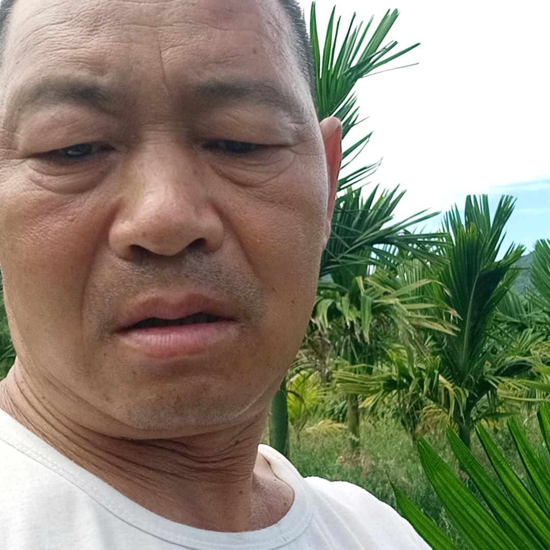 我的名字是郑