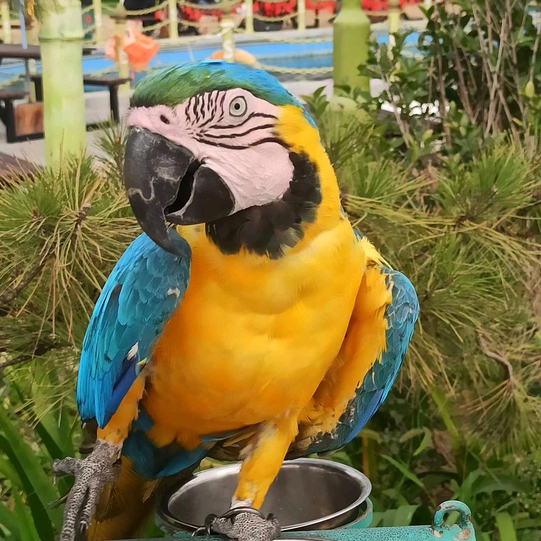 🌈大哲鱼乐生活🌈