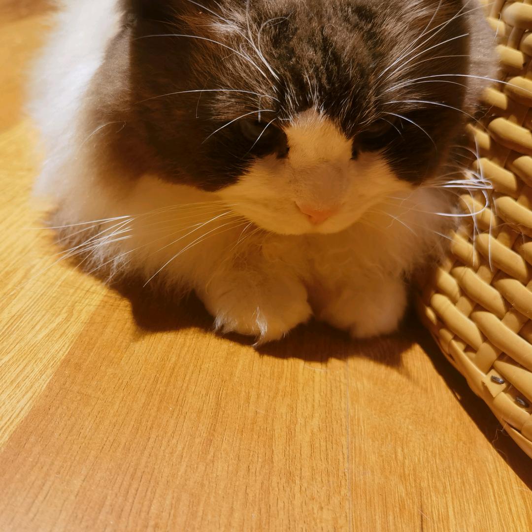 吉林彭于晏
