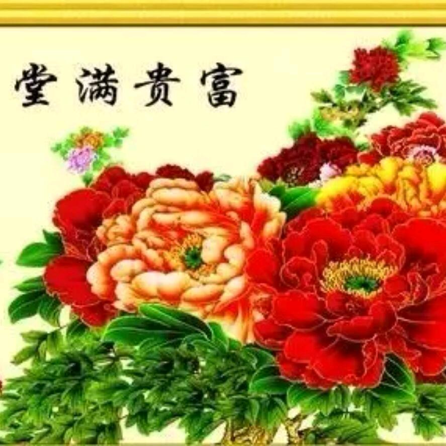 中国虹.