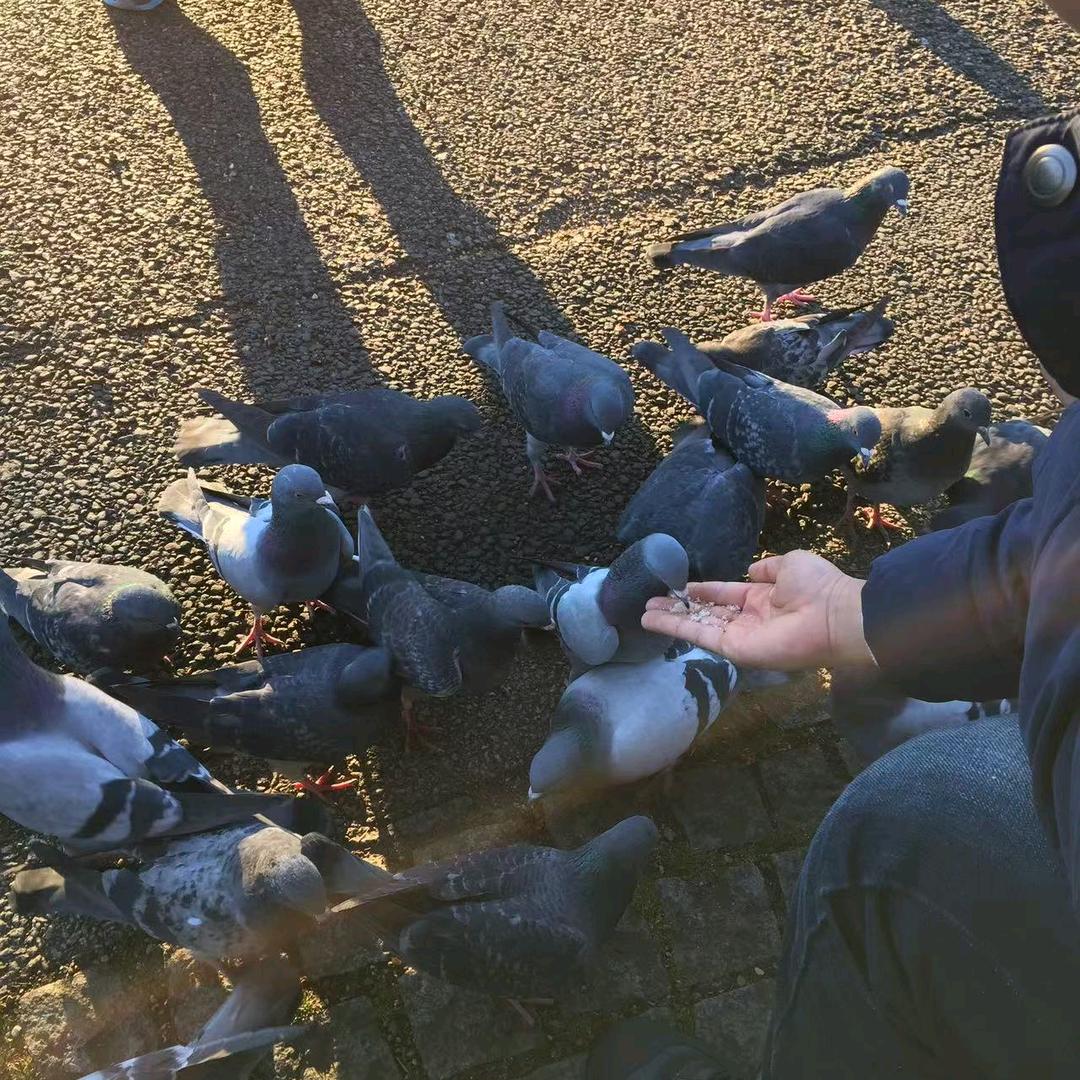 App拉新财瀚科技