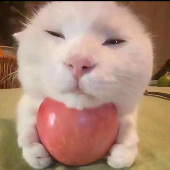 数学恐惧者