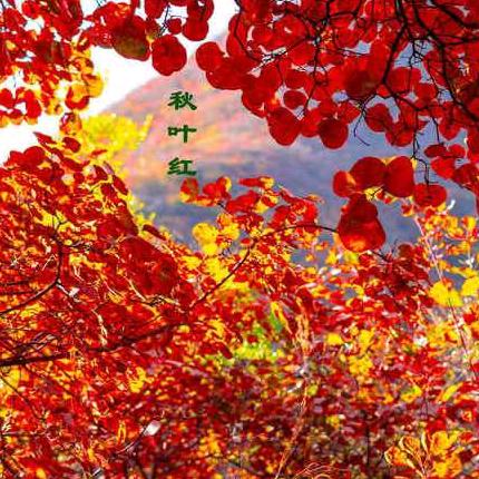 平安是福（拒私聊）