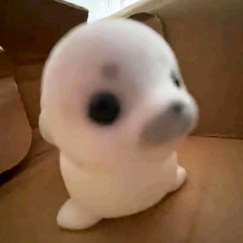 奇妙的大雪花❄️