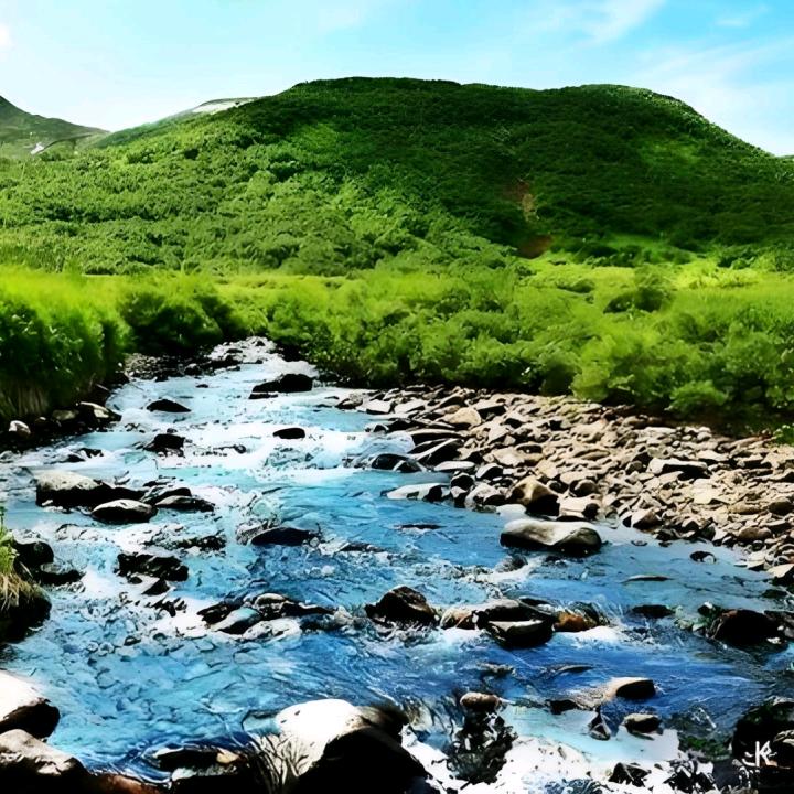 追梦人走天涯