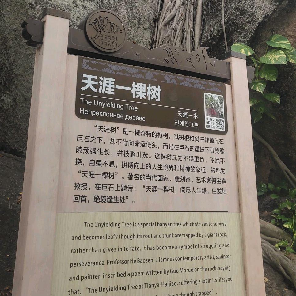 坚强的心❤️
