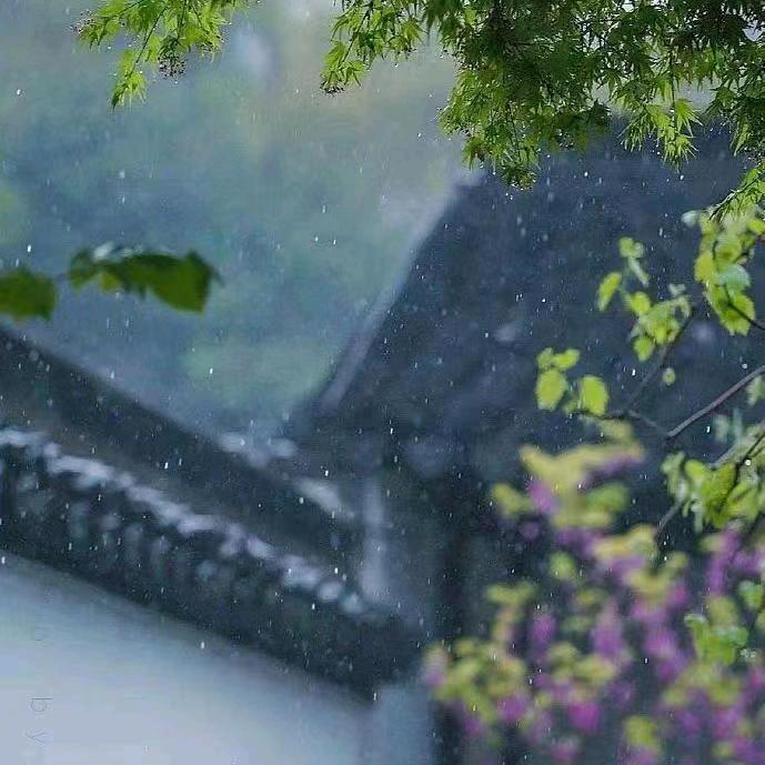 七月的友 󾓭《华惠》
