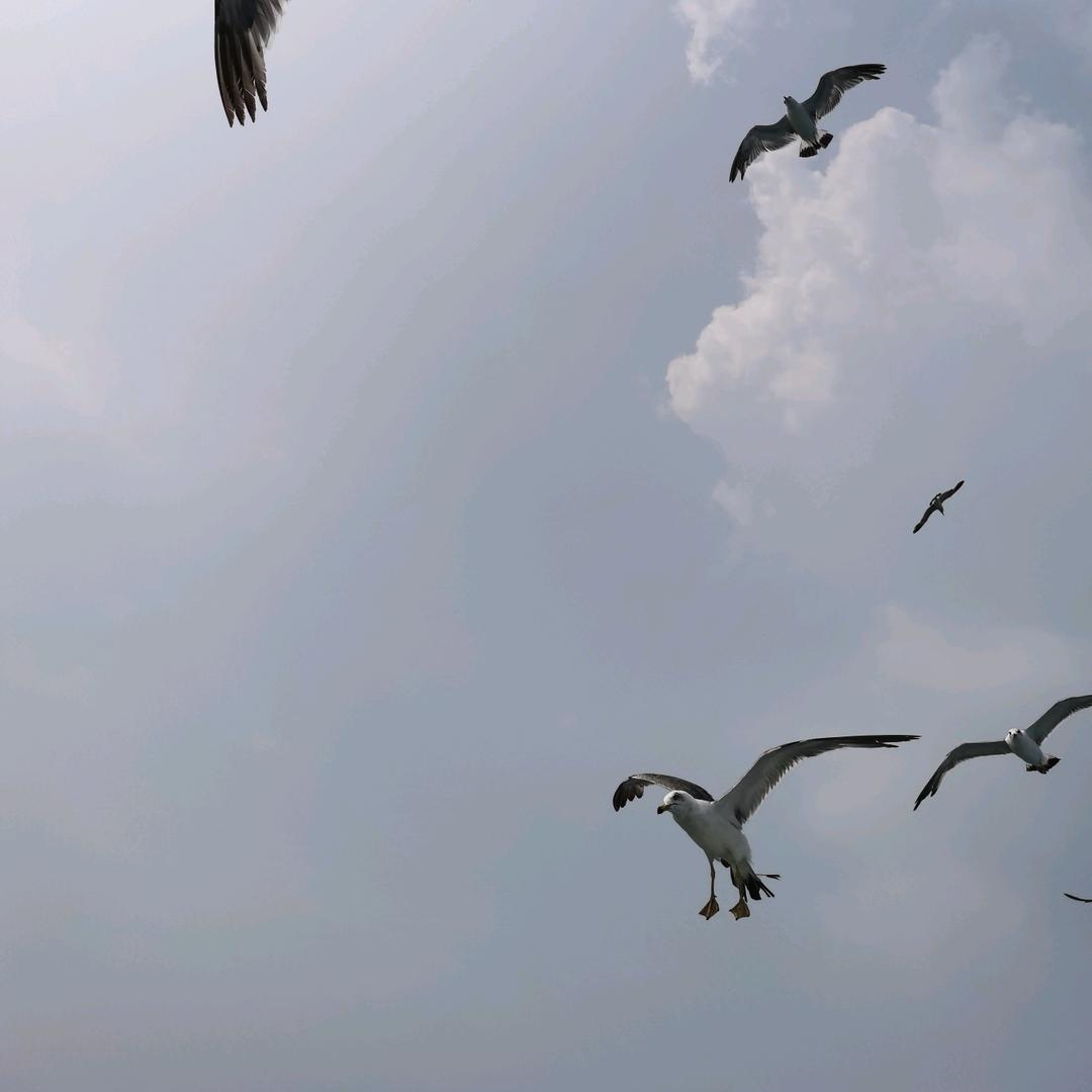 丽丽在聊城