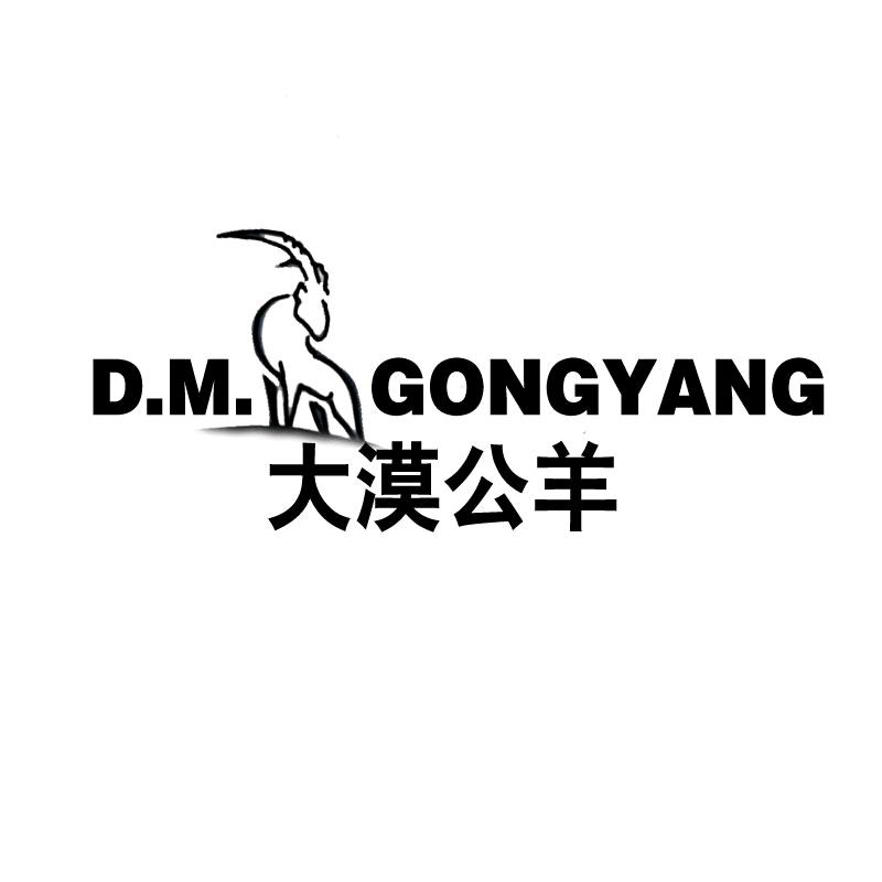 大漠公羊男鞋店