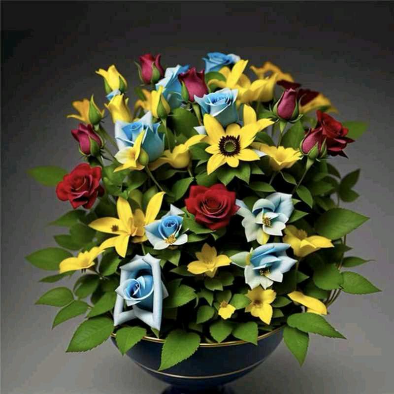 珎嘻💞浪漫的黑骑士