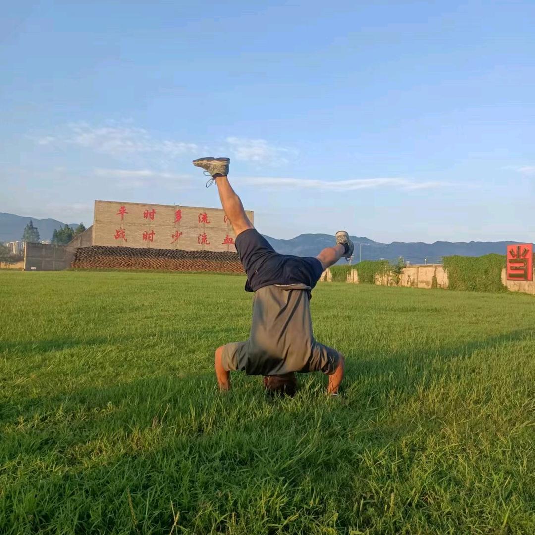 杨公子