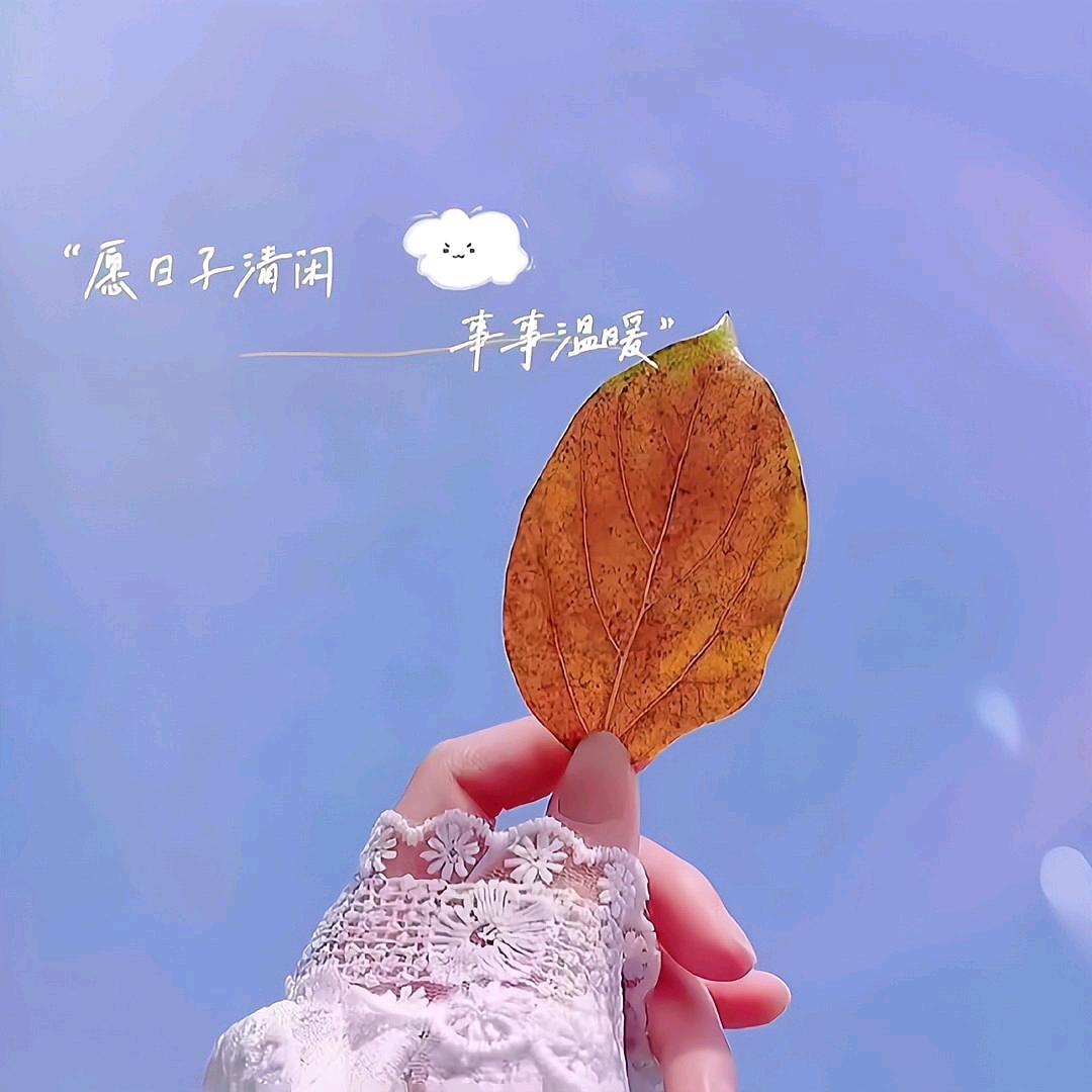 💕余生*不将就🌞