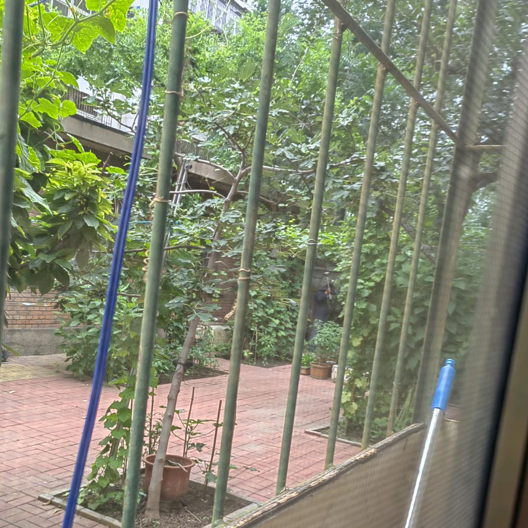 小妞妞
