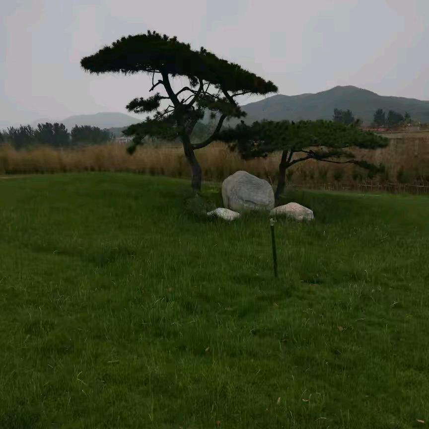 工程上