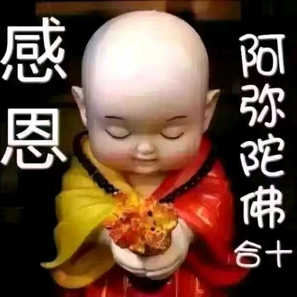 子轩