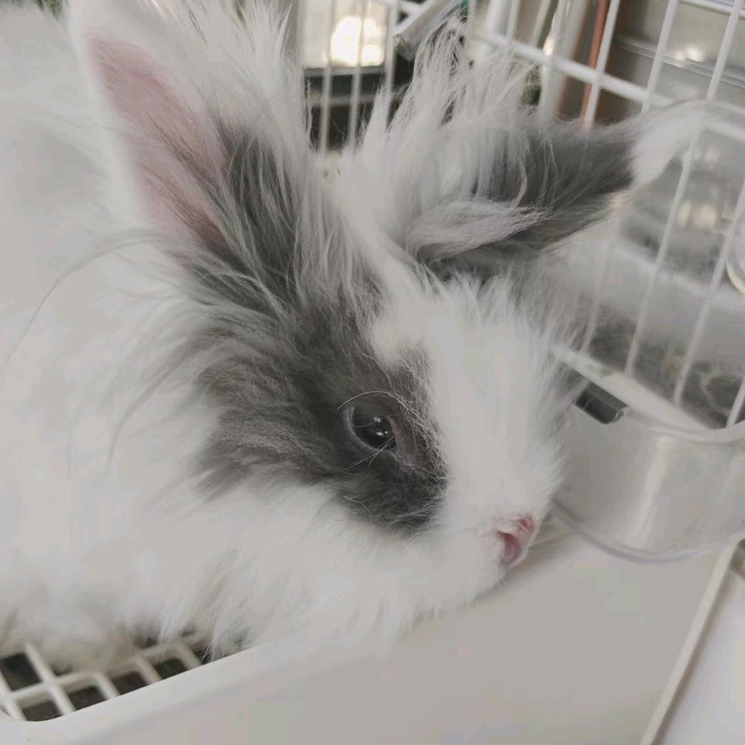 没有水