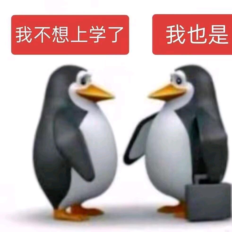 yhcjkll