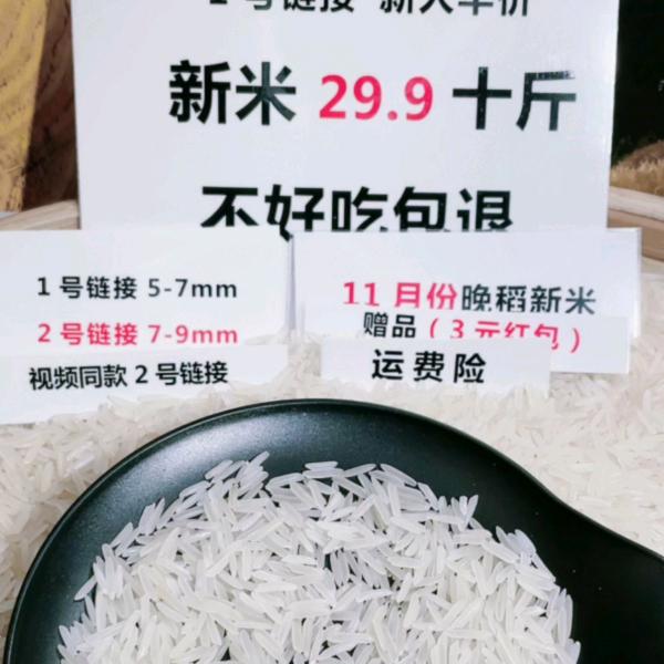 云上猫牙大米