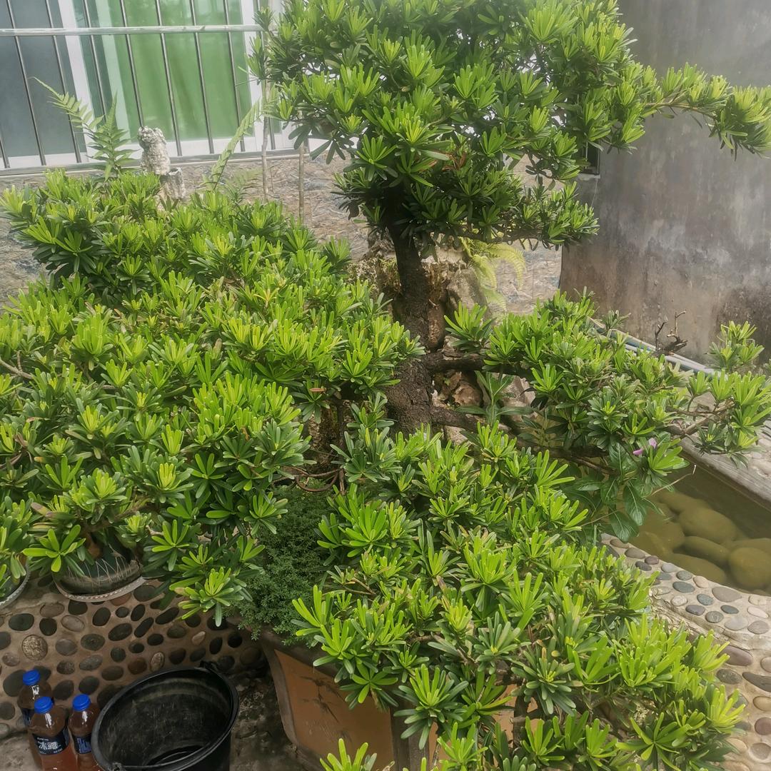 看开一切