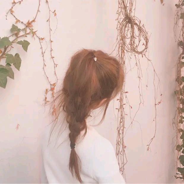 桂花🐬🌞