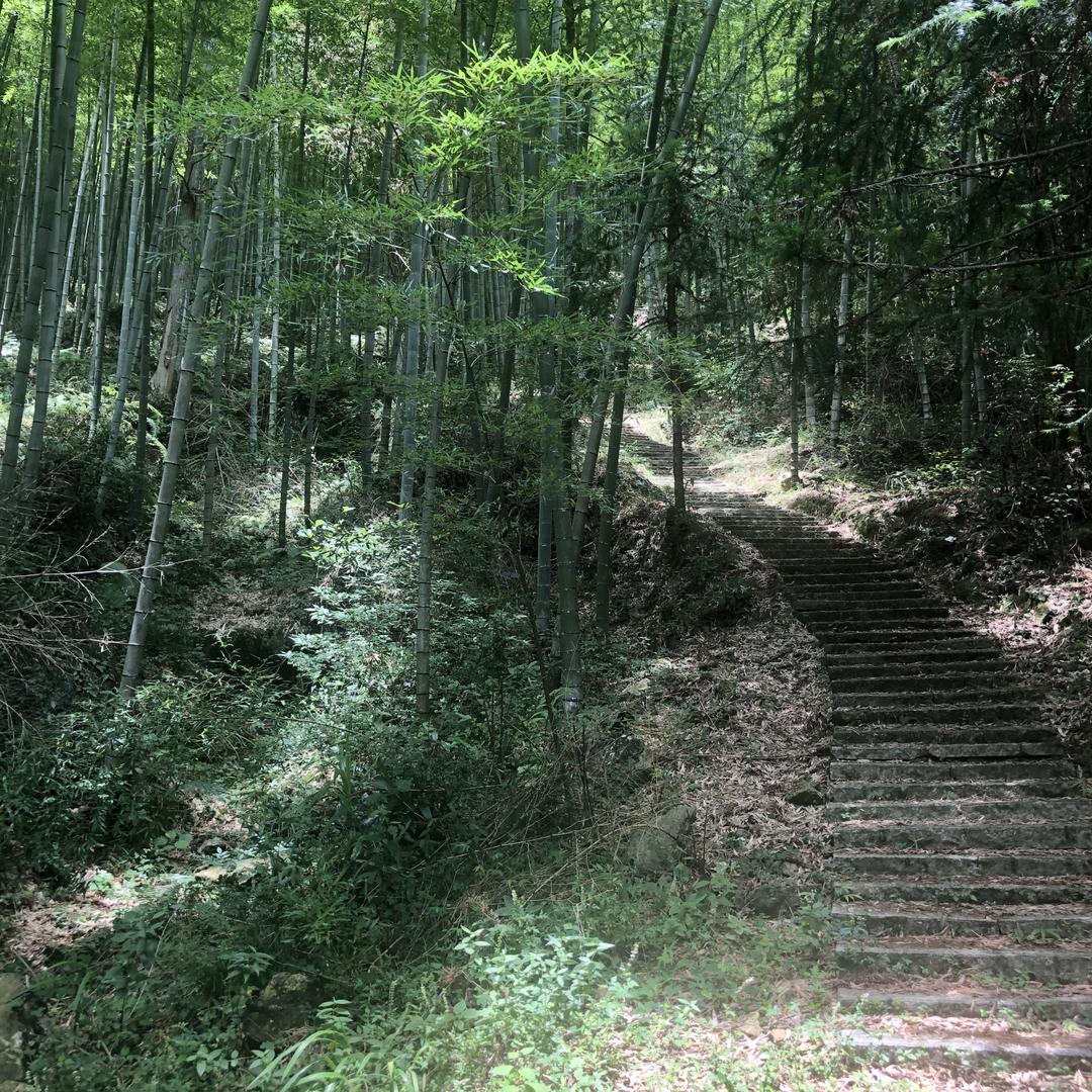 用户阔哥