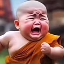 迷于归途失于来路