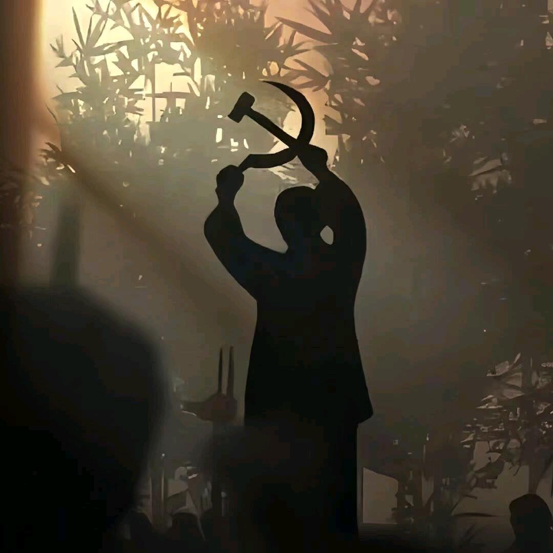 左右左右无法左右