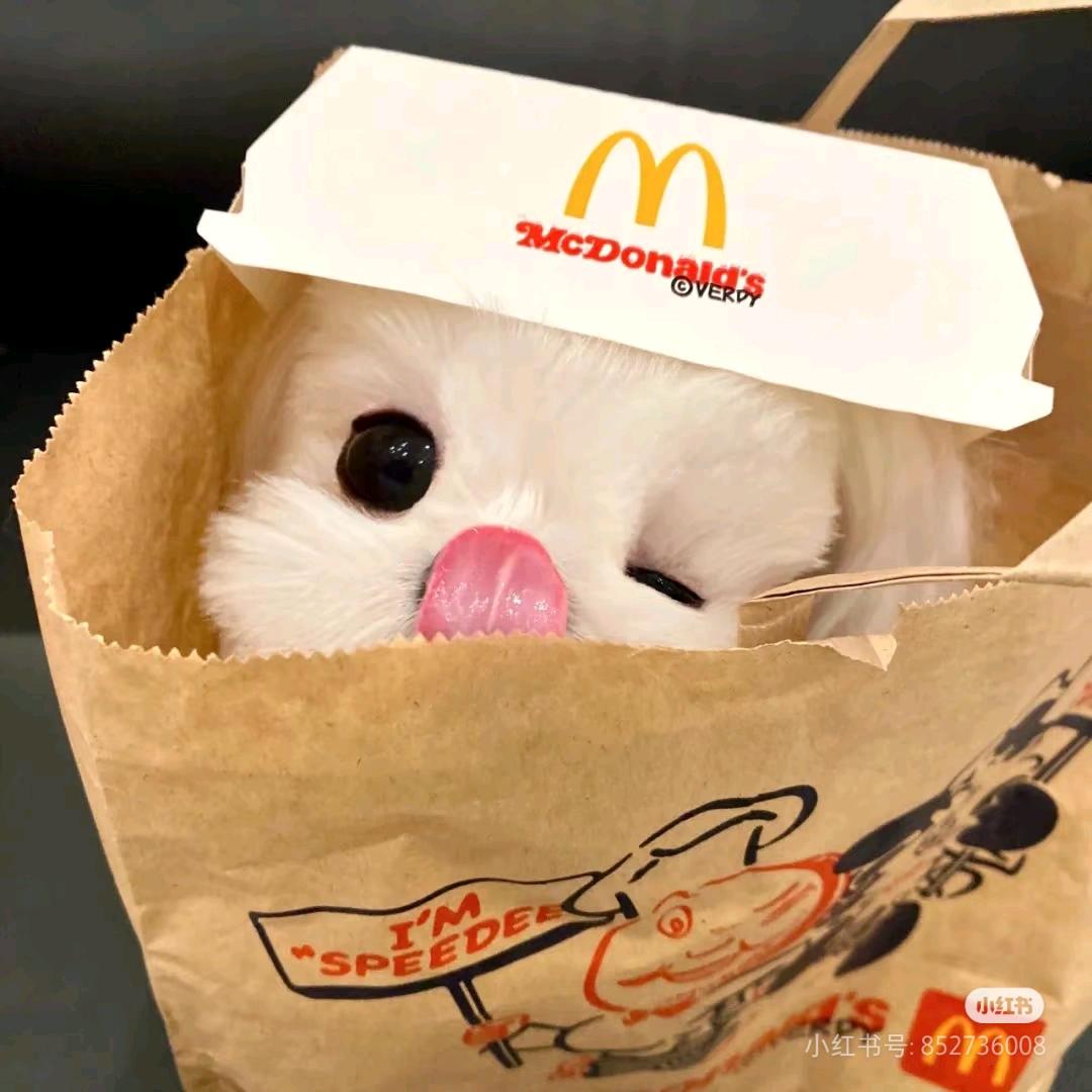 梅州也太好玩了